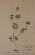  ( - H502141)  @11 [ ] Unspecified (default): All Rights Reserved  Unspecified Unspecified