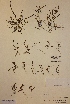  ( - H518672)  @11 [ ] Unspecified (default): All Rights Reserved  Unspecified Unspecified