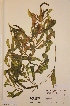  ( - H530564)  @11 [ ] Unspecified (default): All Rights Reserved  Unspecified Unspecified