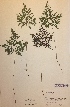  ( - H543175)  @11 [ ] Unspecified (default): All Rights Reserved  Unspecified Unspecified