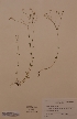 ( - H547333)  @11 [ ] Unspecified (default): All Rights Reserved  Unspecified Unspecified