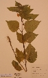  ( - H547740)  @11 [ ] Unspecified (default): All Rights Reserved  Unspecified Unspecified