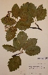  ( - H554608)  @11 [ ] Unspecified (default): All Rights Reserved  Unspecified Unspecified