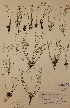  ( - H561513)  @11 [ ] Unspecified (default): All Rights Reserved  Unspecified Unspecified