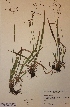  ( - H565796)  @11 [ ] Unspecified (default): All Rights Reserved  Unspecified Unspecified