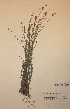  ( - H571646)  @11 [ ] Unspecified (default): All Rights Reserved  Unspecified Unspecified