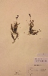  ( - H572806)  @11 [ ] Unspecified (default): All Rights Reserved  Unspecified Unspecified