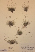  ( - H574944)  @11 [ ] Unspecified (default): All Rights Reserved  Unspecified Unspecified