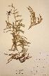 ( - H575656)  @11 [ ] Unspecified (default): All Rights Reserved  Unspecified Unspecified