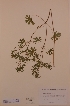  ( - H578507)  @11 [ ] Unspecified (default): All Rights Reserved  Unspecified Unspecified