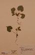  ( - H579603)  @11 [ ] Unspecified (default): All Rights Reserved  Unspecified Unspecified