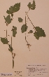  ( - H579607)  @11 [ ] Unspecified (default): All Rights Reserved  Unspecified Unspecified
