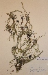  ( - H582301)  @11 [ ] Unspecified (default): All Rights Reserved  Unspecified Unspecified