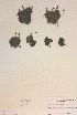  ( - H588849)  @11 [ ] Unspecified (default): All Rights Reserved  Unspecified Unspecified