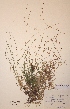  ( - H589938)  @11 [ ] Unspecified (default): All Rights Reserved  Unspecified Unspecified