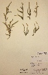  ( - H591573)  @11 [ ] Unspecified (default): All Rights Reserved  Unspecified Unspecified