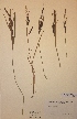  ( - H592147)  @11 [ ] Unspecified (default): All Rights Reserved  Unspecified Unspecified