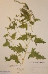  ( - H597185)  @11 [ ] Unspecified (default): All Rights Reserved  Unspecified Unspecified