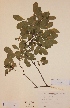  ( - H597917)  @11 [ ] Unspecified (default): All Rights Reserved  Unspecified Unspecified