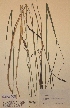  ( - H598500)  @11 [ ] Unspecified (default): All Rights Reserved  Unspecified Unspecified