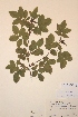  ( - H602059)  @11 [ ] Unspecified (default): All Rights Reserved  Unspecified Unspecified