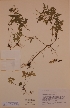  ( - H606297)  @11 [ ] Unspecified (default): All Rights Reserved  Unspecified Unspecified