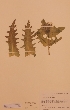  ( - H619046)  @11 [ ] Unspecified (default): All Rights Reserved  Unspecified Unspecified