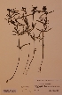  ( - H620087)  @11 [ ] Unspecified (default): All Rights Reserved  Unspecified Unspecified