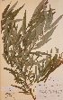  ( - H620828)  @11 [ ] Unspecified (default): All Rights Reserved  Unspecified Unspecified