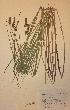  ( - H632217)  @11 [ ] Unspecified (default): All Rights Reserved  Unspecified Unspecified