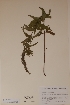  ( - H632925)  @11 [ ] Unspecified (default): All Rights Reserved  Unspecified Unspecified