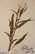  ( - H634744)  @11 [ ] Unspecified (default): All Rights Reserved  Unspecified Unspecified