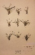  ( - H639454)  @11 [ ] Unspecified (default): All Rights Reserved  Unspecified Unspecified