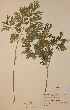  ( - H650155)  @11 [ ] Unspecified (default): All Rights Reserved  Unspecified Unspecified