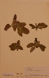  ( - H656651)  @11 [ ] Unspecified (default): All Rights Reserved  Unspecified Unspecified