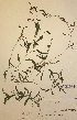  ( - H656787)  @11 [ ] Unspecified (default): All Rights Reserved  Unspecified Unspecified