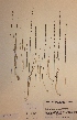  ( - H658293)  @11 [ ] Unspecified (default): All Rights Reserved  Unspecified Unspecified