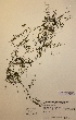  ( - H658670)  @11 [ ] Unspecified (default): All Rights Reserved  Unspecified Unspecified
