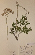  ( - H659213)  @11 [ ] Unspecified (default): All Rights Reserved  Unspecified Unspecified