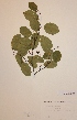  ( - H661072)  @11 [ ] Unspecified (default): All Rights Reserved  Unspecified Unspecified