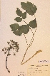  ( - H662455)  @11 [ ] Unspecified (default): All Rights Reserved  Unspecified Unspecified