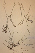  ( - H663168)  @11 [ ] Unspecified (default): All Rights Reserved  Unspecified Unspecified