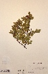  ( - H664088)  @11 [ ] Unspecified (default): All Rights Reserved  Unspecified Unspecified