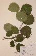  ( - H664114)  @11 [ ] Unspecified (default): All Rights Reserved  Unspecified Unspecified