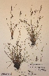  ( - H666055)  @11 [ ] Unspecified (default): All Rights Reserved  Unspecified Unspecified