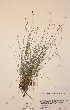  ( - H666329)  @11 [ ] Unspecified (default): All Rights Reserved  Unspecified Unspecified