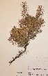  ( - H667747)  @11 [ ] Unspecified (default): All Rights Reserved  Unspecified Unspecified