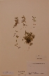  ( - H668294)  @11 [ ] Unspecified (default): All Rights Reserved  Unspecified Unspecified