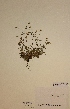  ( - H668321)  @11 [ ] Unspecified (default): All Rights Reserved  Unspecified Unspecified