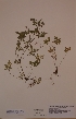  ( - H685684)  @11 [ ] Unspecified (default): All Rights Reserved  Unspecified Unspecified
